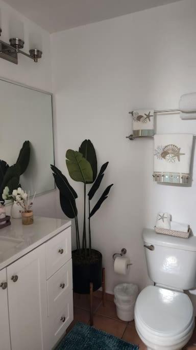 Fall In Love To Endless Summer. Charm And Private Apartment Loiza Bagian luar foto