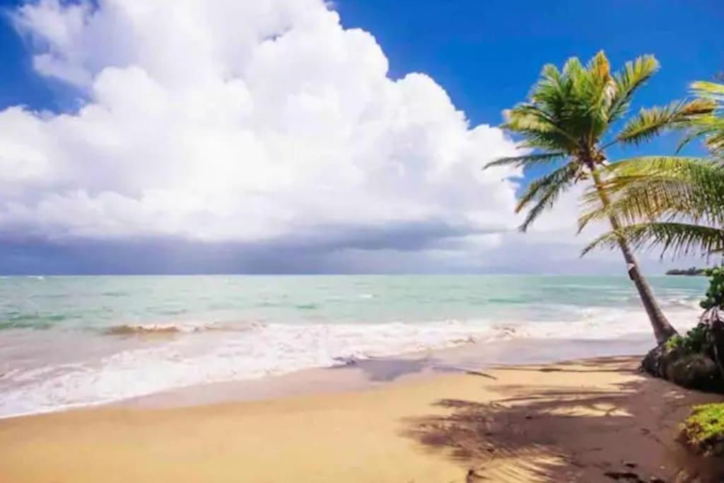 Fall In Love To Endless Summer. Charm And Private Apartment Loiza Bagian luar foto