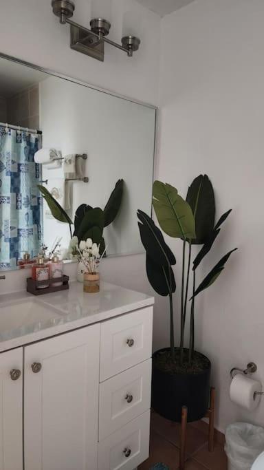 Fall In Love To Endless Summer. Charm And Private Apartment Loiza Bagian luar foto