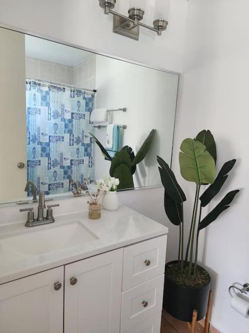 Fall In Love To Endless Summer. Charm And Private Apartment Loiza Bagian luar foto